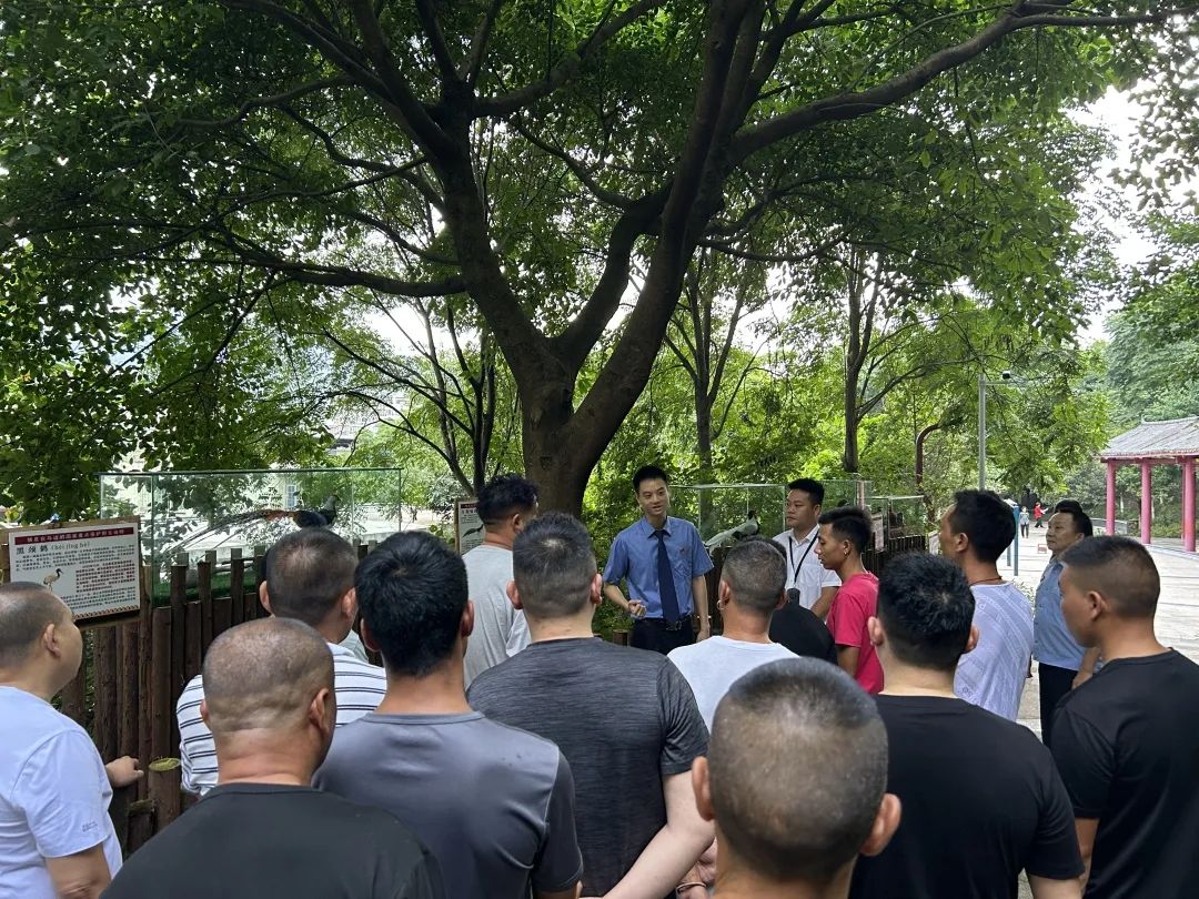 微信图片_2025-07-31_144632_291.jpg