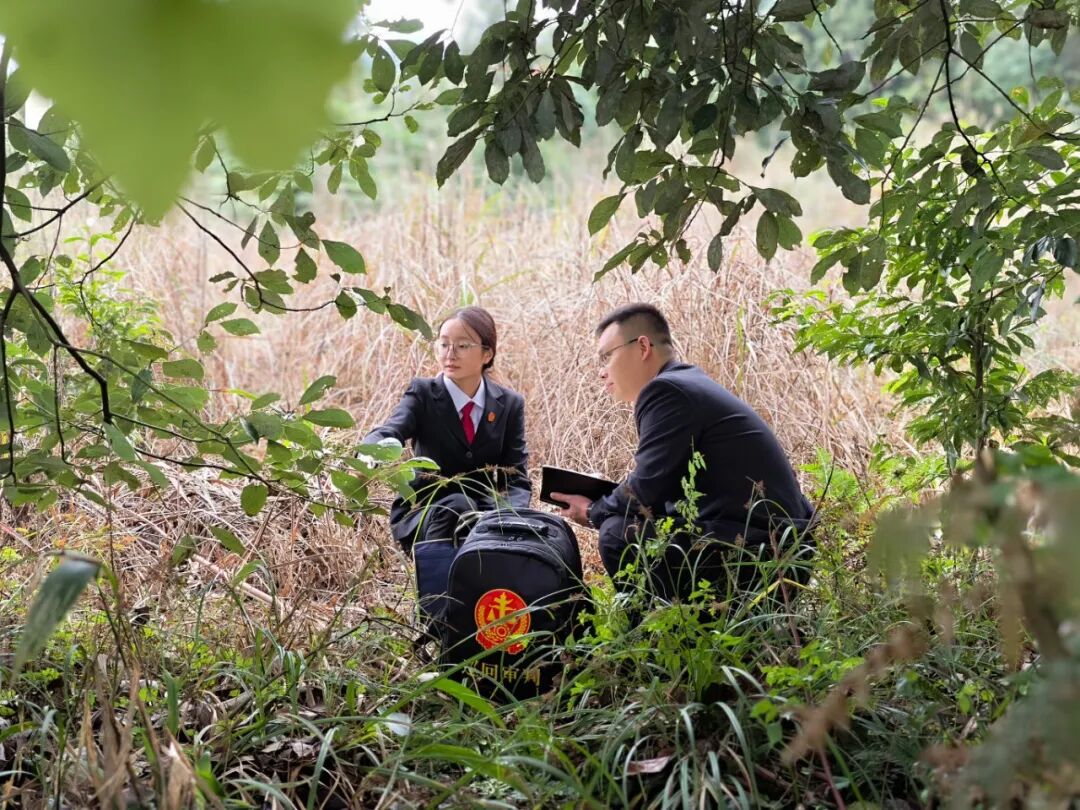 640 (5).jpg 640 (5).jpg