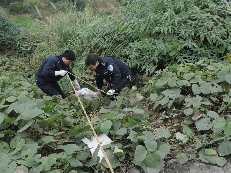 微信图片_2026-03-19_105019_409.jpg 微信图片_2026-03-19_105019_409.jpg