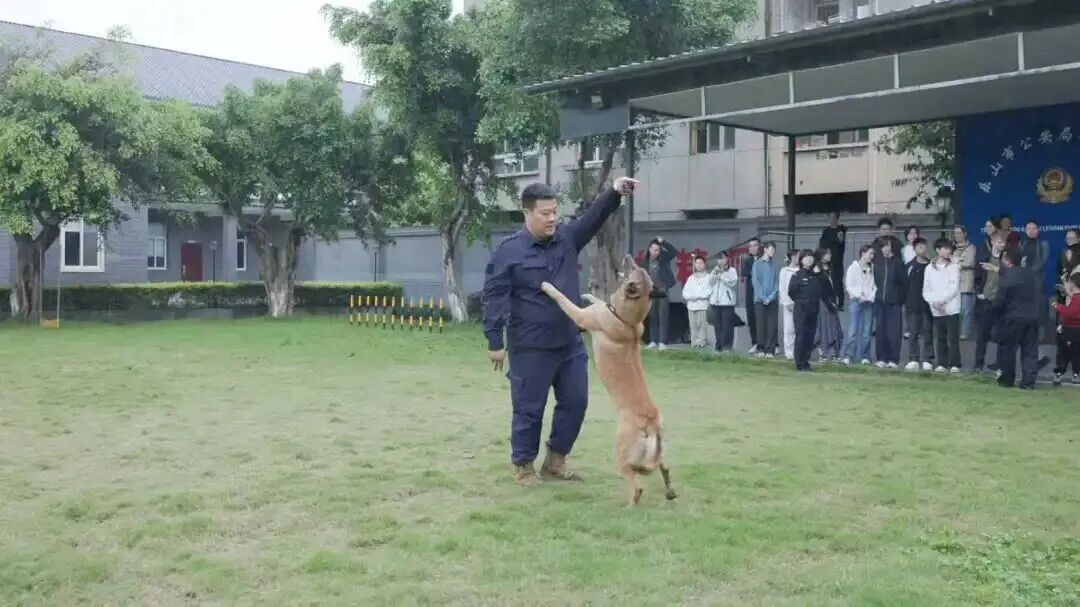 微信图片_2026-04-20_104749_195.jpg