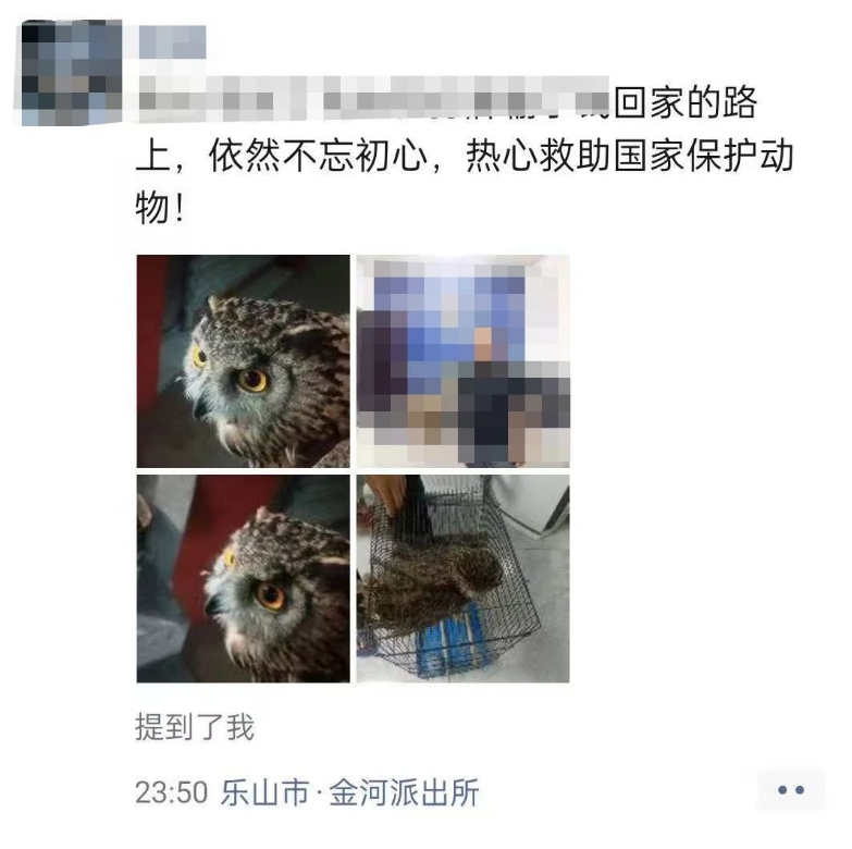 99f4159eed6d625ca45cbf5a4913564.png